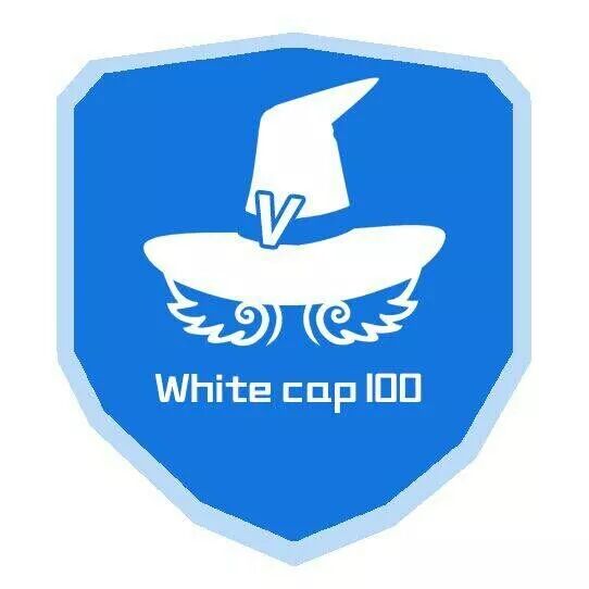 杭州白帽一百信息技术有限公司