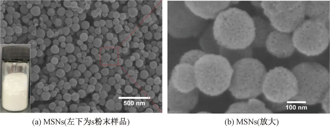 海藻酸钙敷料怎么开发胡文锋：抗菌丁香酚／介孔二氧化硅纳米颗粒的制备及其医用潜力评价_https://www.jmylbn.com_新闻资讯_第6张