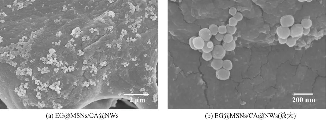 海藻酸钙敷料怎么开发胡文锋：抗菌丁香酚／介孔二氧化硅纳米颗粒的制备及其医用潜力评价_https://www.jmylbn.com_新闻资讯_第14张