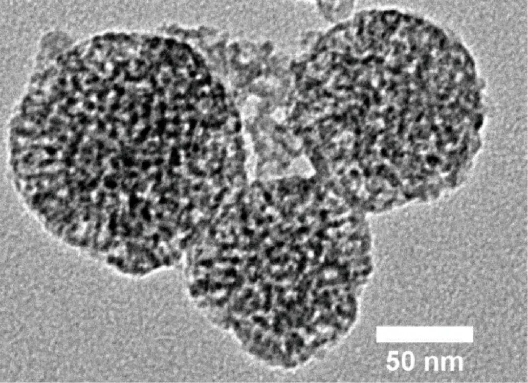 海藻酸钙敷料怎么开发胡文锋：抗菌丁香酚／介孔二氧化硅纳米颗粒的制备及其医用潜力评价_https://www.jmylbn.com_新闻资讯_第7张