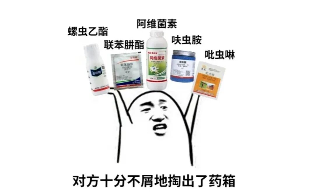 【虫虫大作战】 零毒副杀虫让你的植物岁月静好——精油杀虫法