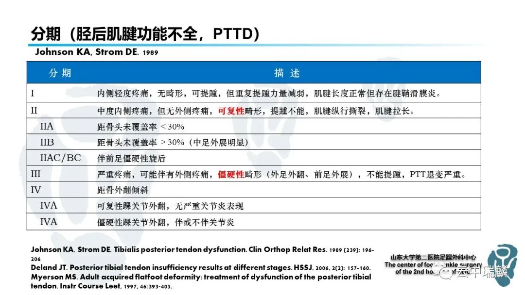 一文了解平足症的病理解剖与治疗策略