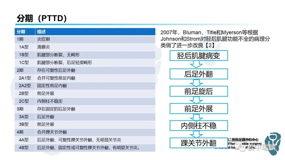 一文了解平足症的病理解剖与治疗策略