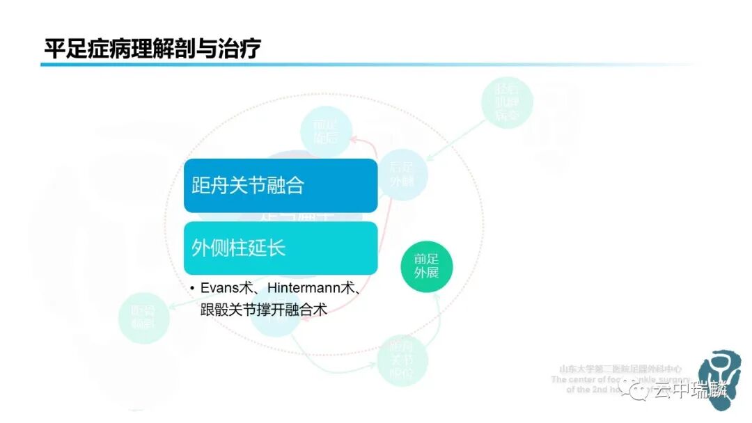 一文了解平足症的病理解剖与治疗策略