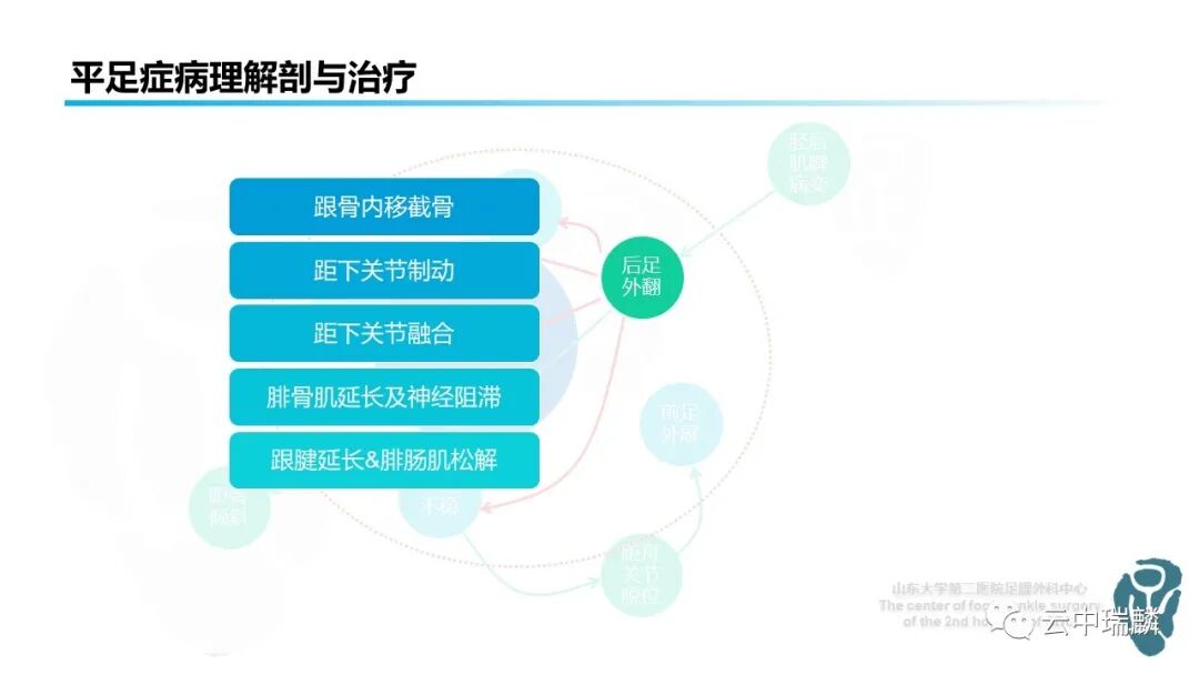 一文了解平足症的病理解剖与治疗策略