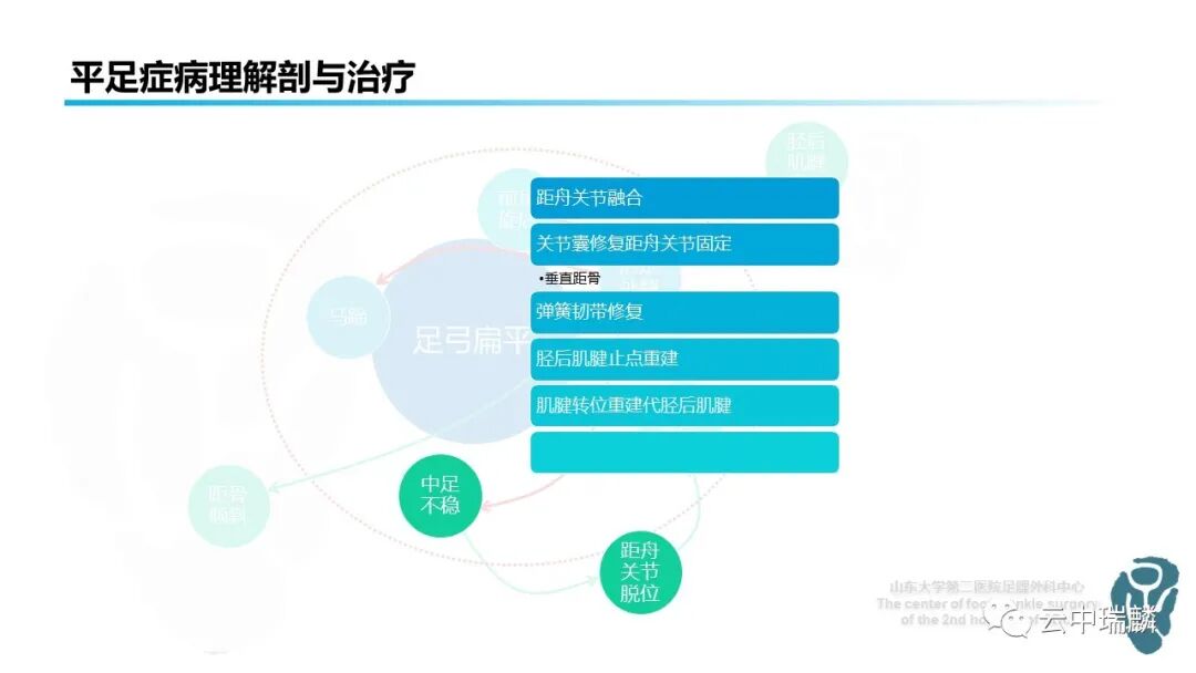 一文了解平足症的病理解剖与治疗策略