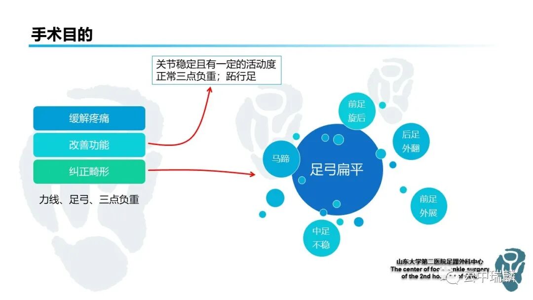 一文了解平足症的病理解剖与治疗策略