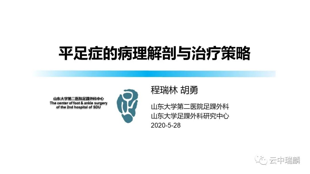 一文了解平足症的病理解剖与治疗策略