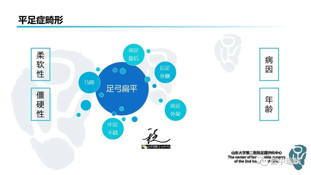 一文了解平足症的病理解剖与治疗策略