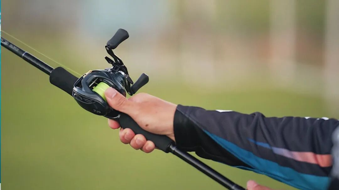 steez a tw hlc新增8.1速比!