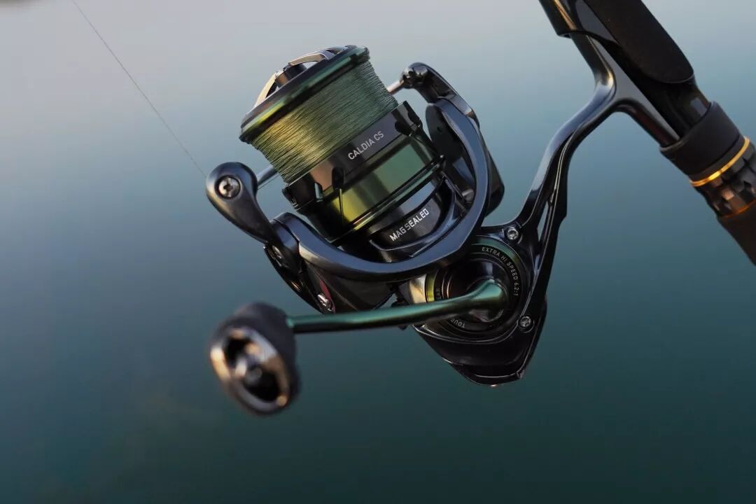 daiwa caldia cs lt