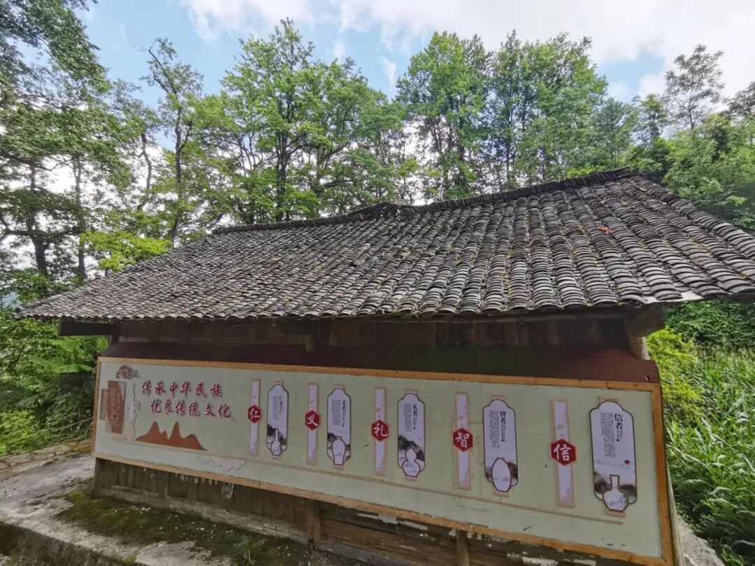 微信图片_20260731172310_1619_60.jpg