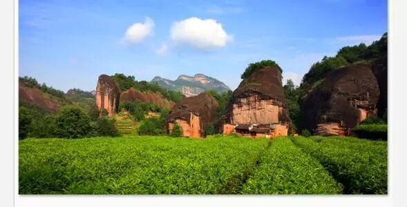 秋冬，教你品一壶大红袍！