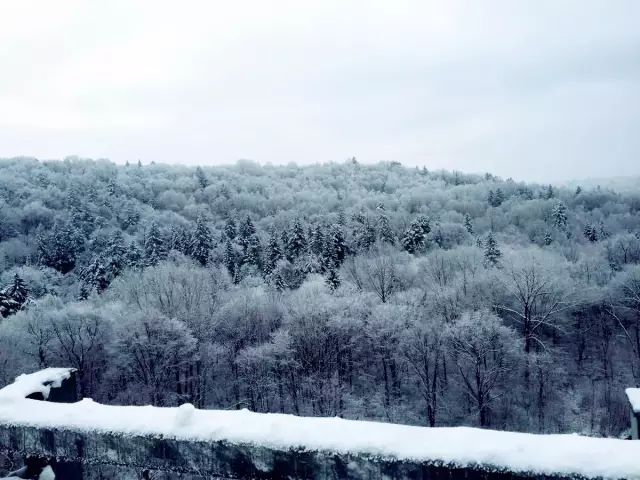 十年之約，長白山見 旅遊 第9張