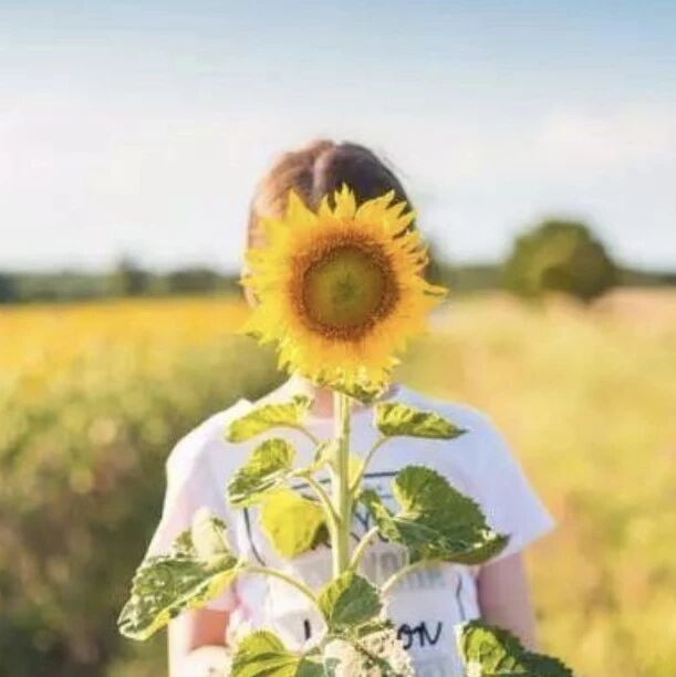 十二星座的致命缺点，狮子座是好面子，水瓶座光顾着工作！