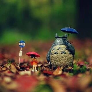 十二星座的表面配对 & 真实配对，和你想的一样么？