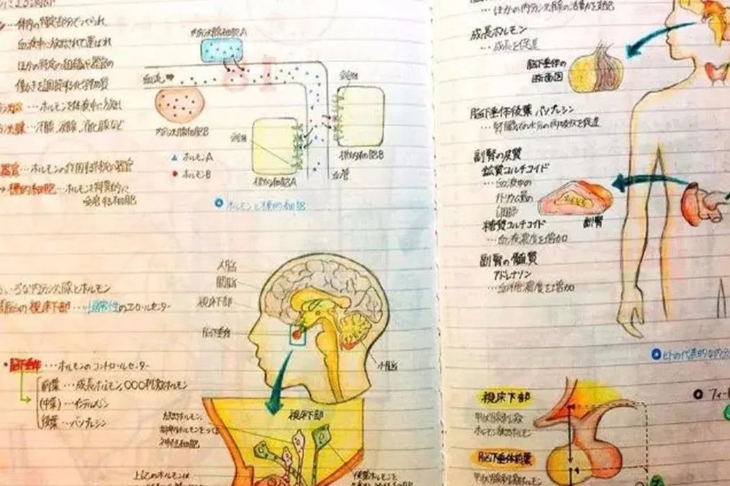 紧急!期末冲刺期,总分不满560的高中生,务必重视,这条捷径直通985、211名校!(内含视频)-微信头条网 紧急!期末冲刺期,总分不满560的高中生,务必重视,这条捷径直通985、211名校!(内含视频)