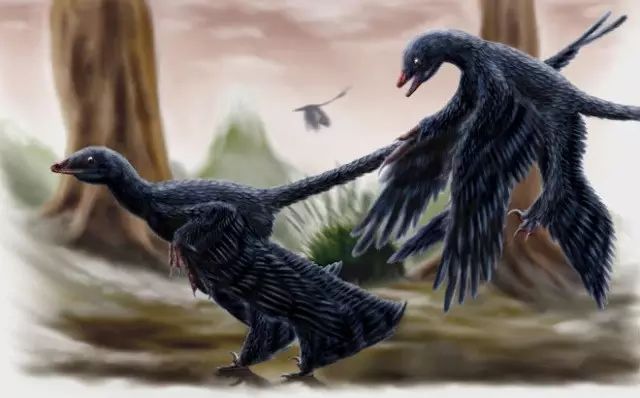 顧氏小盜龍microraptor gui小盜龍是中國古生物學家徐星於2000年發現