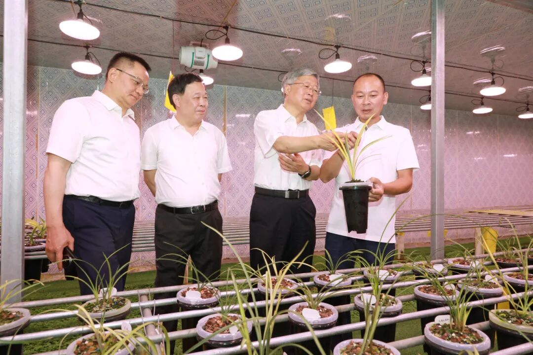 640 - 2025-06-30t152122.048.jpg