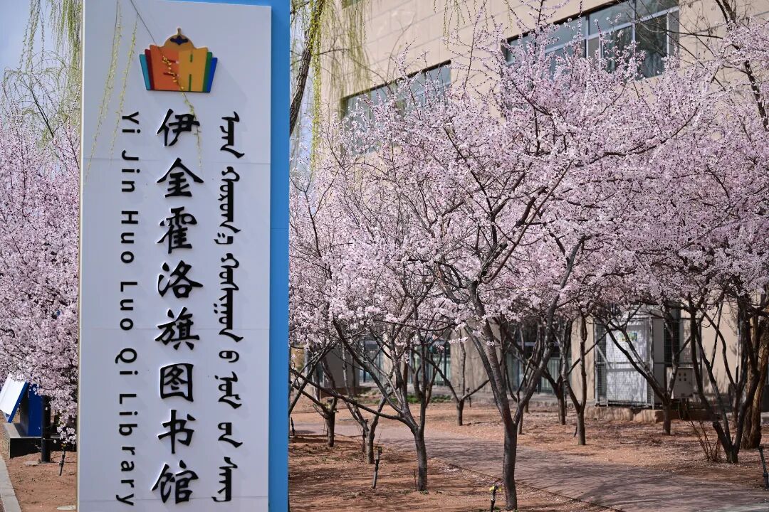 微信图片_20260402100729.jpg