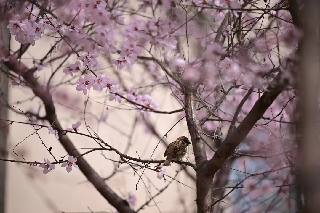 微信图片_20260402100741.jpg