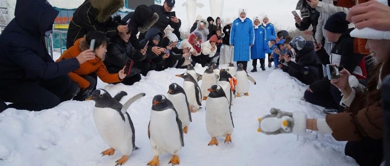 宋家腾邀您来黑龙江看电视剧《悬崖》取景地!