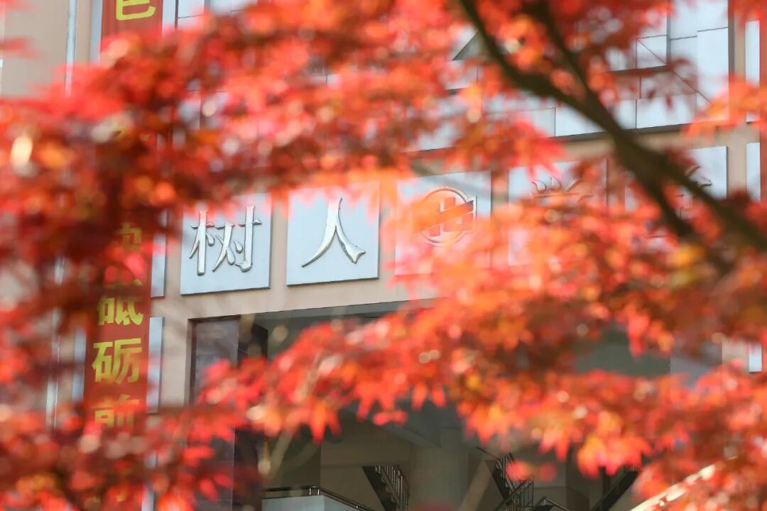 上海将开一所重量级初中，由七宝中学校长坐镇，配备顶尖管理团队！预计2027年开办！相关资料 12
