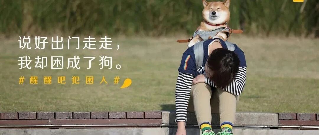 哈欠~好像被麦当劳的文案监控了