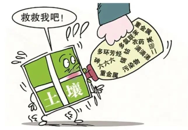 生态环境修复技术_生态修复环境技术方案_生态环境修复技术是干什么的/