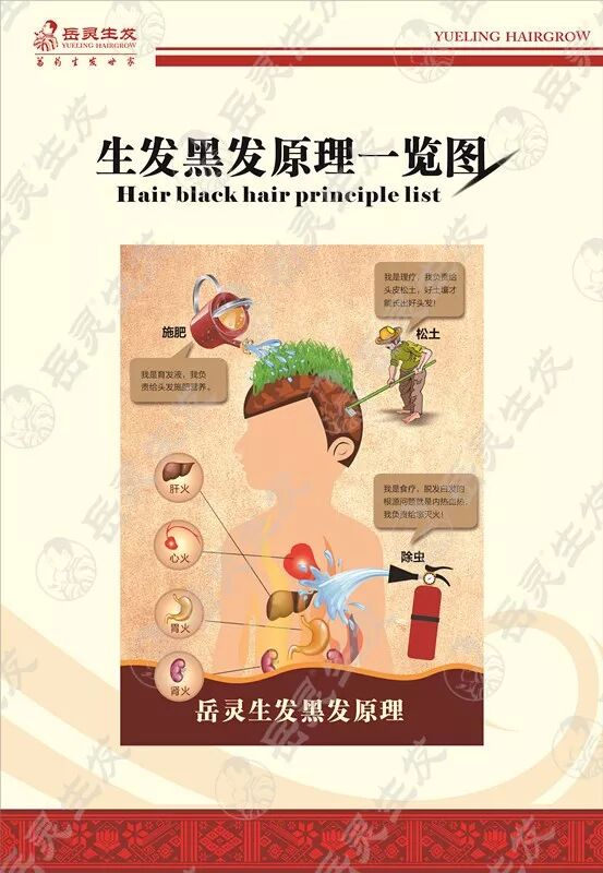 岳灵生发黑发原理图