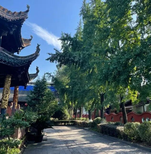 坐标【成都】—— 四川成都最全旅游攻略