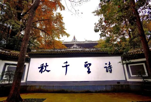 坐标【成都】—— 四川成都最全旅游攻略