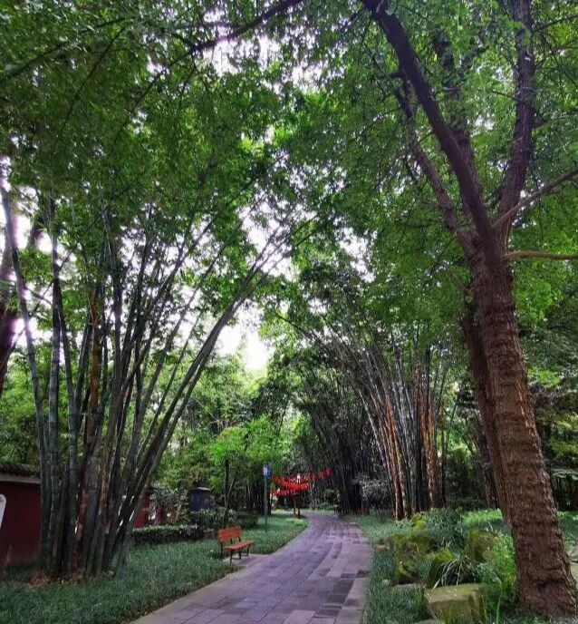 坐标【成都】—— 四川成都最全旅游攻略