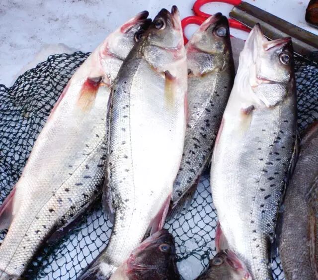 今天北海防城港全面沦陷玉林侬千万别去