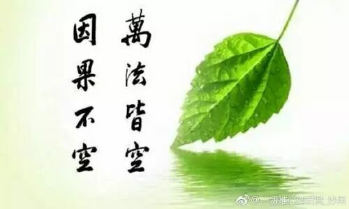 因果故事 人身上长了块羊皮 弥陀的爱 微信公众号文章阅读 Wemp