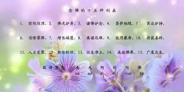 因果故事 佛断家务事 发生了神奇的一幕 弥陀的爱 微信公众号文章阅读 Wemp