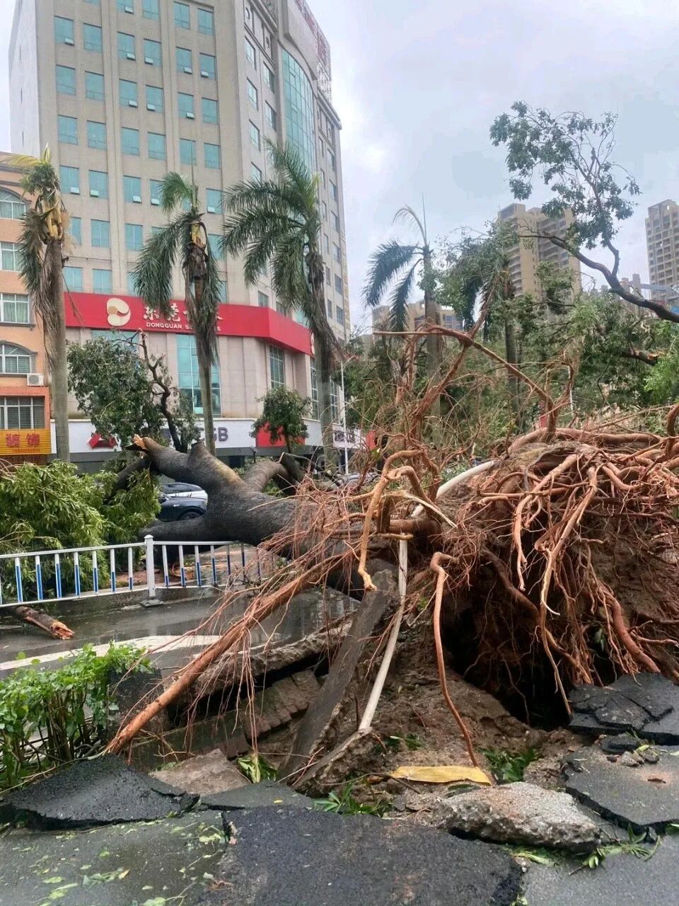 桦加沙台风眼开始填塞