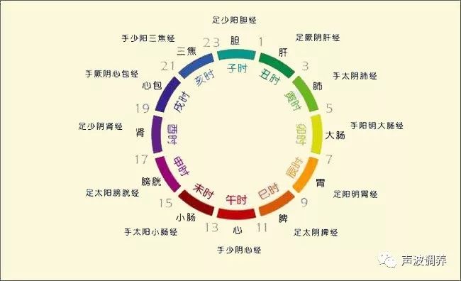 【中医知识】 十二时辰与经络养生息息相关 【中医知识】 十二时辰与经络养生息息相关