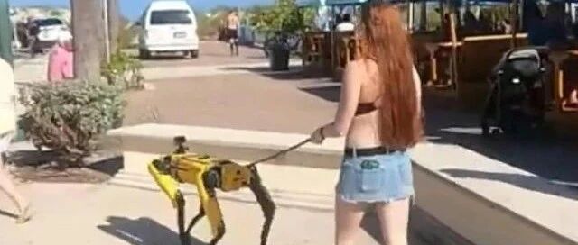 你的下一只宠物会是机器狗？除了翻跟头还能干啥？