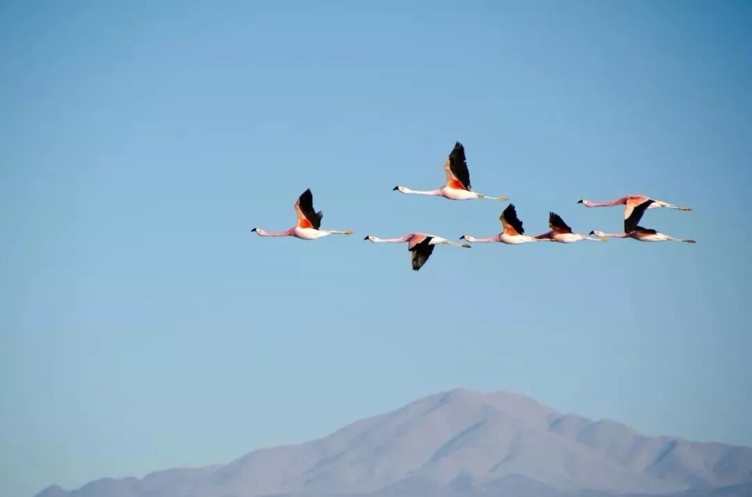 《【转】凡事留点余地，是一个人极高的智慧》