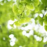 气温“噌噌”往上升！本周前晴后雨