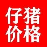 仔猪价格行情查询