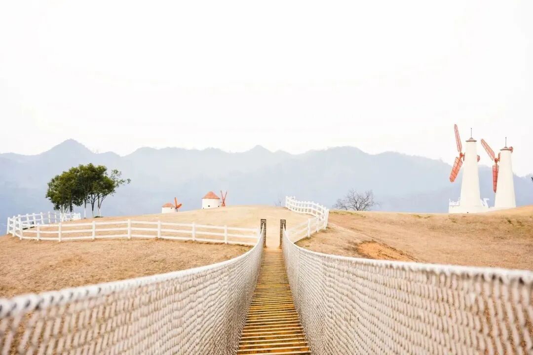 【商会活动】“巾帼川商 英姿飒爽”2023浙江省四川商会女企业家代表联谊活动圆满举办