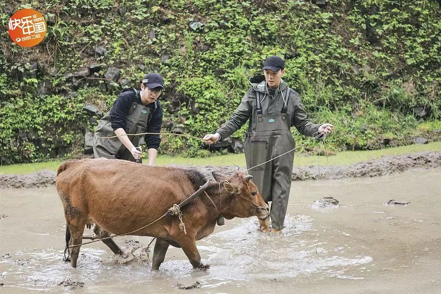 确实该聊聊 第三季 综艺_挑战者联盟第2季 综艺_中国新声代第2季 综艺