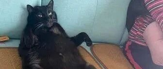 只有金孙才能享有这种待遇！