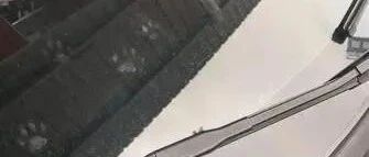 把爱车洗得干干净净，隔天一早开车气炸……仔细一看却笑了！