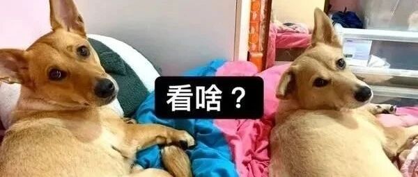 当你深夜回家时看到这个，你会害怕吗?