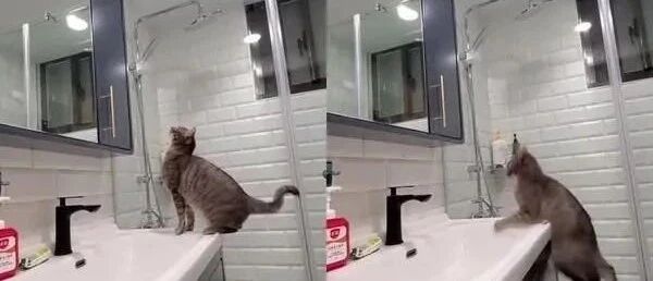 这看起来满分的架势与准备动作，在下一秒却成了闹剧！