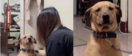 哈哈，只是吹个毛有必要这么哀怨吗？