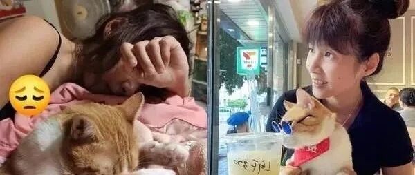 饲主情人节手捧喵喵花束送老婆惊喜，但没想到是这样的结局！